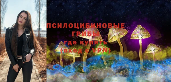 бошки Армянск