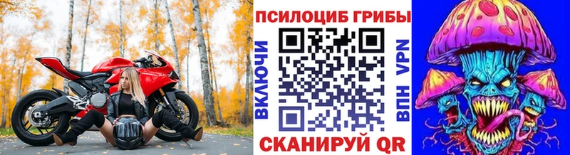 мега сайт  Вилючинск  Псилоцибиновые грибы Psilocybe 